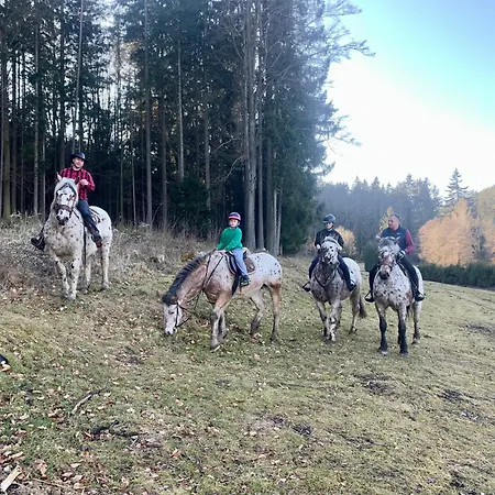 Semesterbostad Foistovic Ranc *